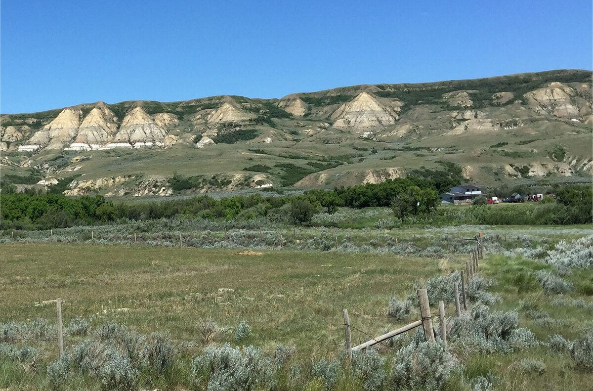 These layers are Cretaceous and the Jurassic are below where I am standing White clay layers visible on the steep side of the valley wall