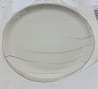 A leather hard plate cracked in the plastic mold