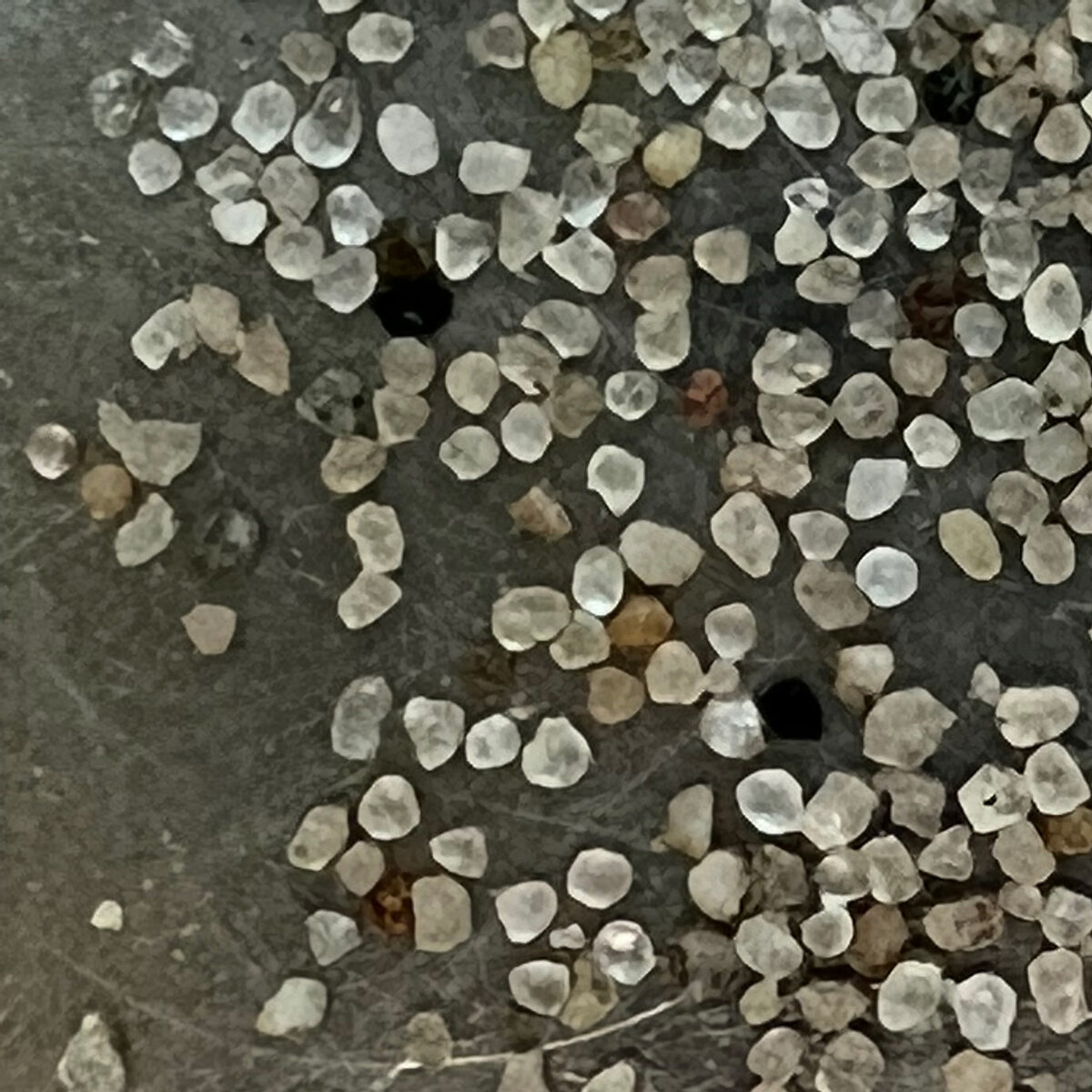 Micro photo of clay particles